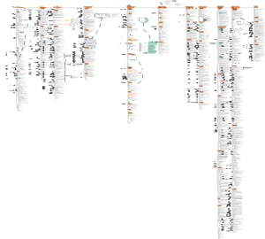 第一章：风险管理基础20
