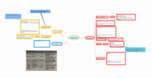 Digestive system