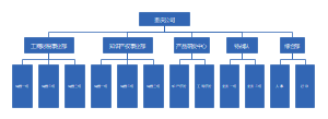 公司组织结构图 (1)