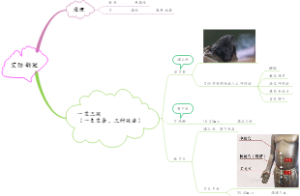 艾防新冠