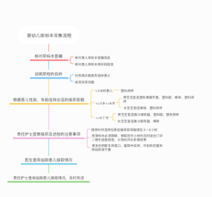 婴幼儿尿标本采集流程