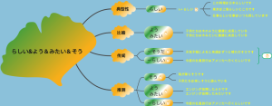 らしいよう＆みたい＆そう