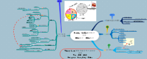 Deming Cycle戴明循环或称PDCA循环、PDSA