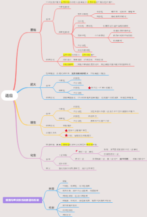 适应