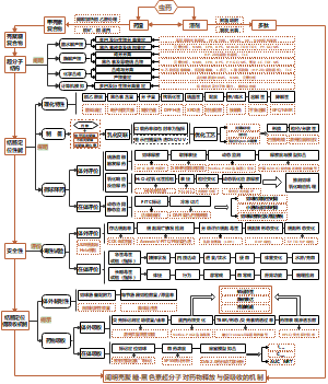 阐明载体材料对药物释放与促吸收的机制