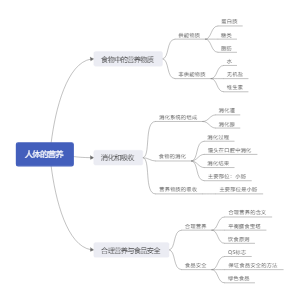 七下生物第二章——人体的营养