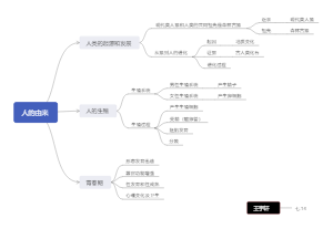 七下生物第一章——人的由来