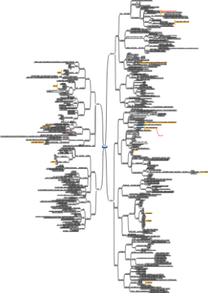 政治选择性必修1