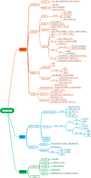 真核微生物的特点