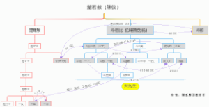 楚若敖世系图