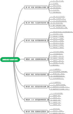 战略创新与组织变革