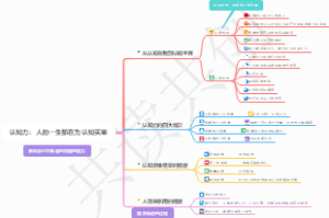 心力第二章：认知力