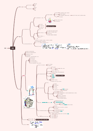 组织学与胚胎学——消化腺