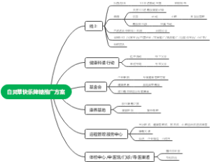 医疗项目推广方案