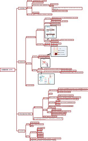 急性肾衰竭思维导图图片