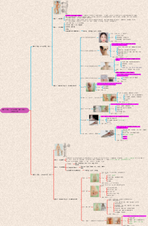 足少阳胆经、足厥阴肝经