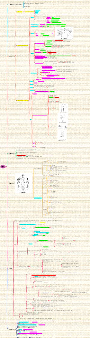 临床值班：腹痛诊疗流程