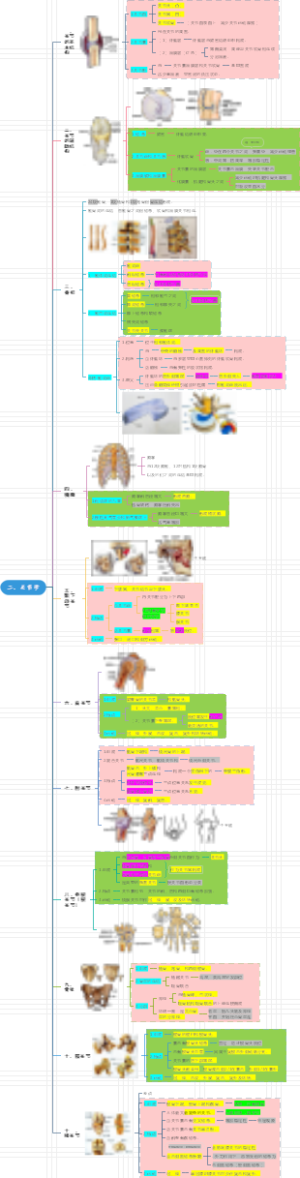 庄严解剖学---2.关节学