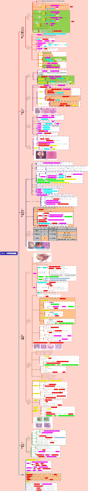 徐琦病理学---12.生殖系统疾病
