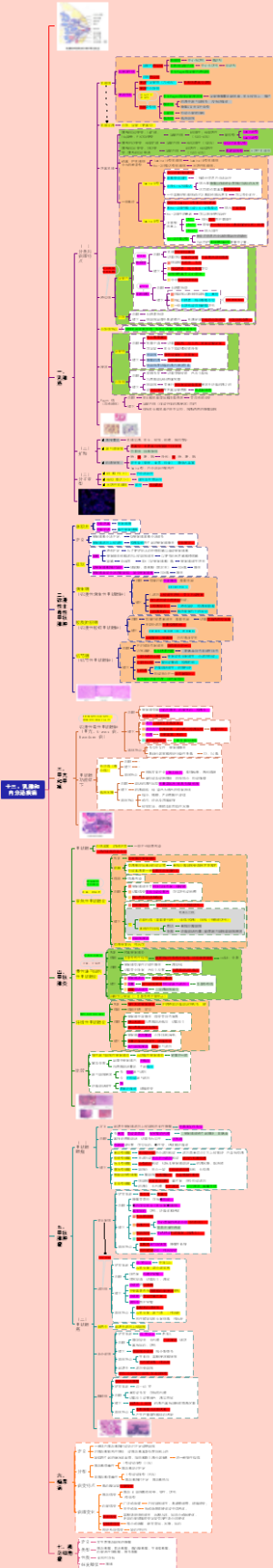 徐琦病理学---13.乳腺和内分泌疾病