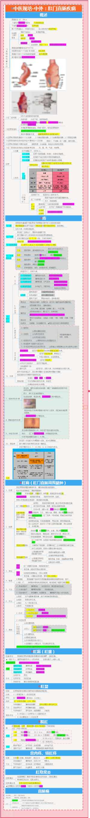 中医规培-中外：Anus及直肠疾病