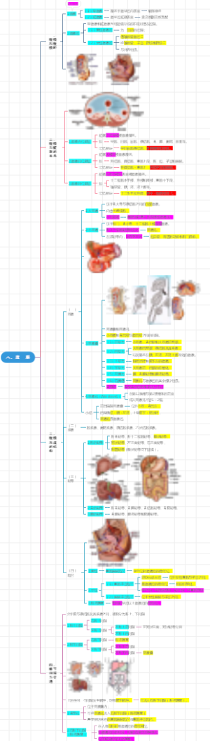 庄严解剖学---8.腹　膜