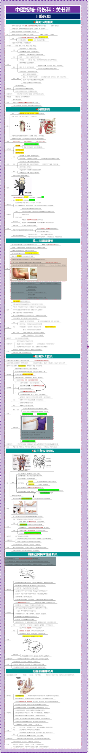 中医规培-骨伤科（关节篇）：上肢疾患