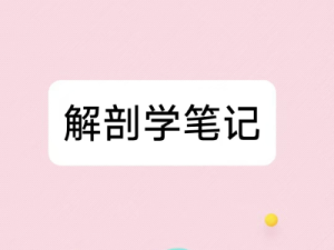 解剖学笔记