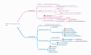 新编简明英语语言学教程思维导图Chapter 12 Language and the brain
