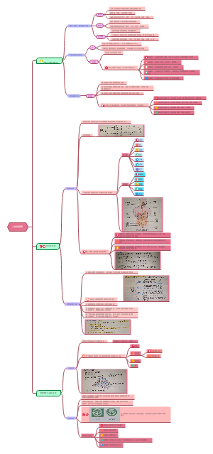 七年级下册生物第2章(1)