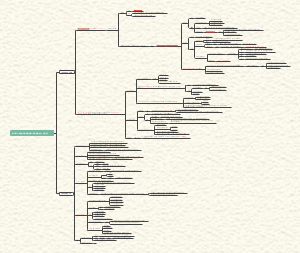 马原第三章笔记
