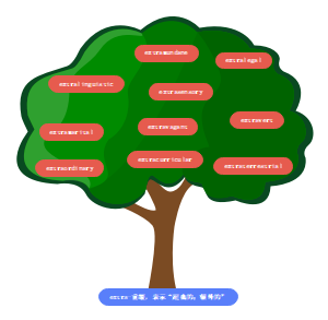 英语程度前缀单词记忆树