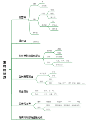 生物的特征
