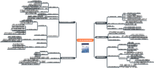 蛋白质的生物合成