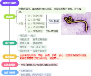 埃博拉出血热