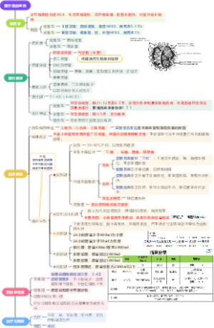 流行性出血热