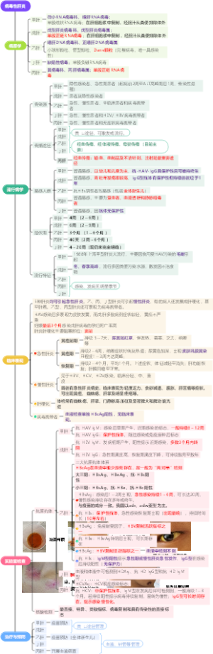 病毒性肝炎