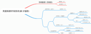 克里斯滕许斯系统(裸子植物)