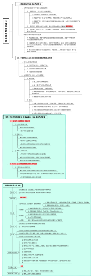(9.1)文化发展的必然选择