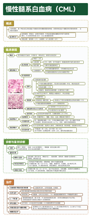 内科-慢性髓系白血病