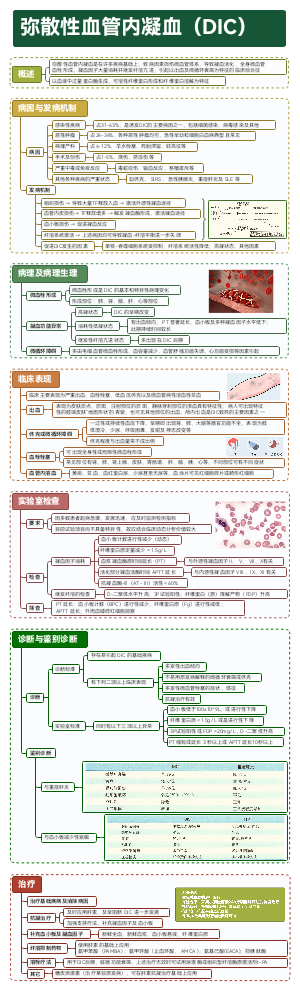 内科-弥散性血管内凝血