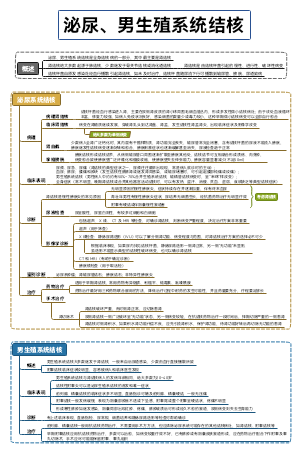 外科-泌尿、男生殖系统结核