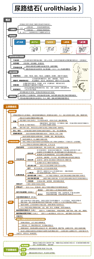 外科-尿路结石