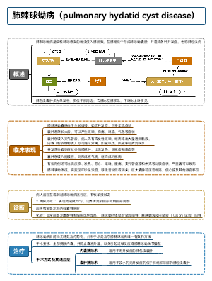 外科-肺棘球蚴病