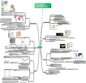 Alevel 生物 第十章 Infectious diseases