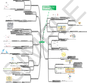 生物 Energy and respiration