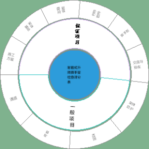 附着式升降脚手架检查评分表