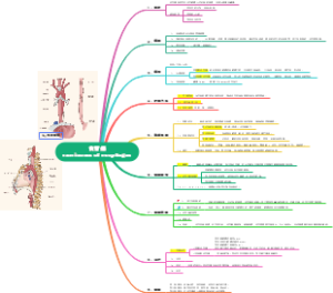 内科学消化系统-食管癌