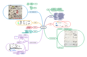 光合作用