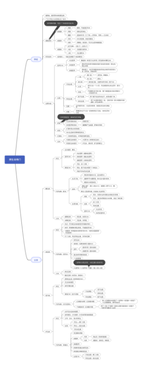 动物学之原生动物门
